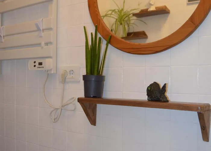 Дом отдыха Casa Aurora *